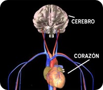 Cuando se nos rompe el corazón